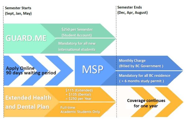 Chart for Guard.me MSP and Extended Health and Dental at 91̽